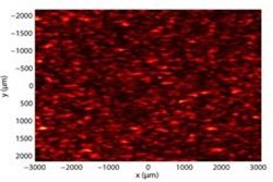 Speckle pattern recorded when illuminating an apple. CREDIT: R.Nassif
