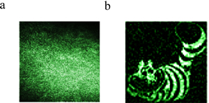 Using a single-pixel optical system based on compressive sensing, the researchers could overcome the imaging limitations traditionally imposed by scattering to recover fine details about the hidden object